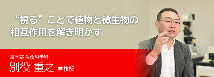 “視る”ことで植物と微生物の相互作用を解き明かす　農学部 生命科学科 別役 重之 准教授